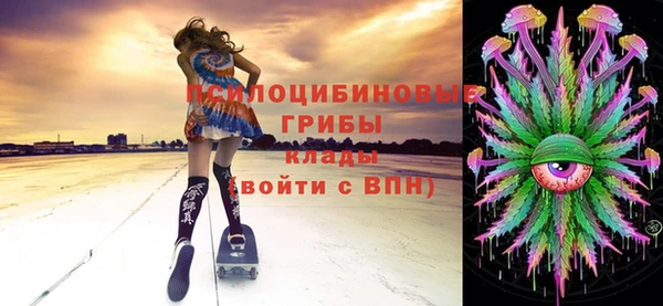 apvp Карпинск